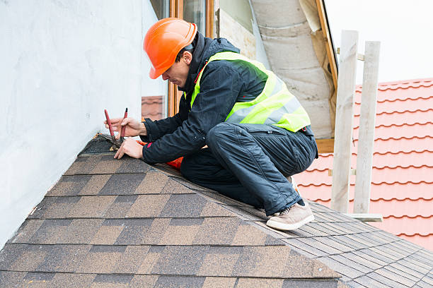 Roof Gutter Cleaning in Venus, TX